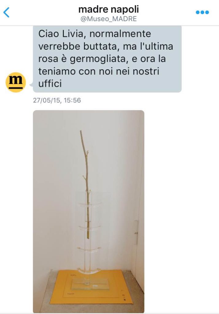 Screenshot della conversazione con il social media manager del Museo MADRE.